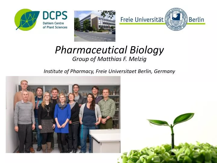 PPT Natural products from plants and Traditional European Herbal