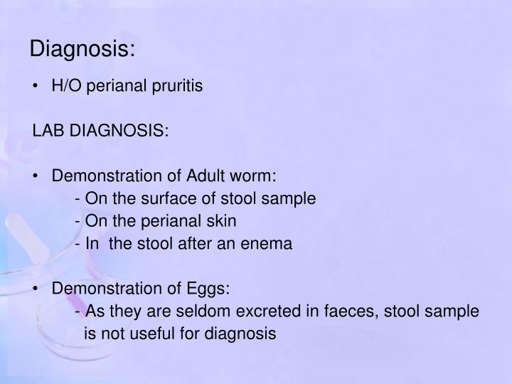 PPT - Enterobius vermicularis PowerPoint Presentation - ID:6901960