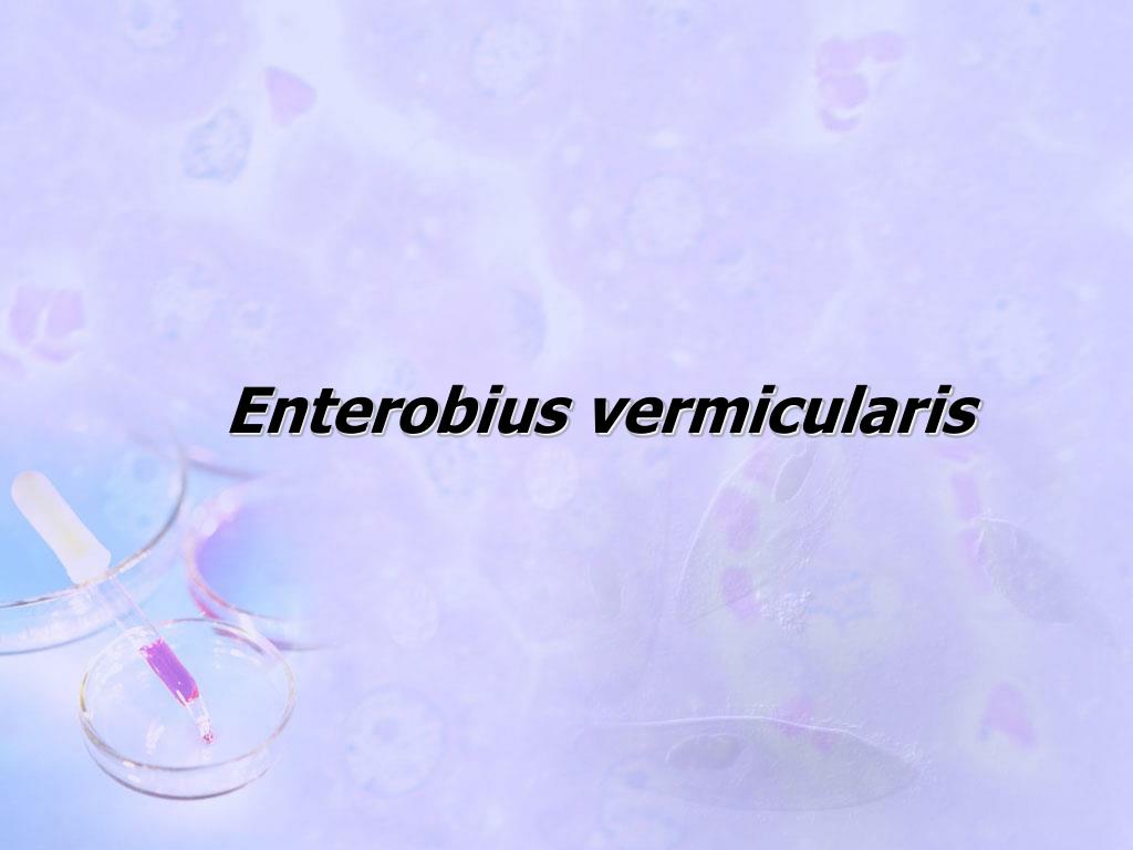 Enterobiosis életciklus, - Enterobius vermicularis cikk