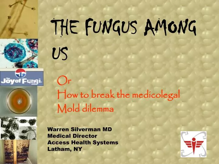 Ppt The Fungus Among Us Powerpoint Presentation Free Download Id