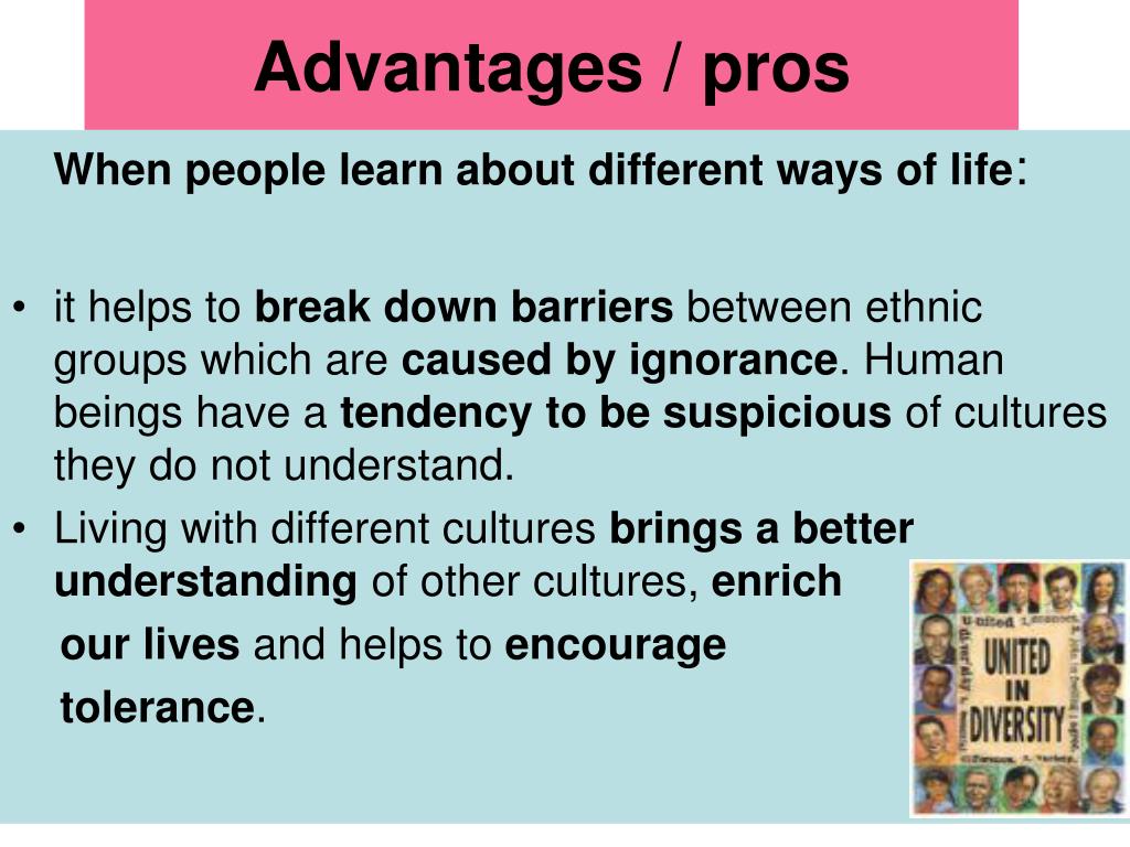 advantages and disadvantages of cultural diversity essay