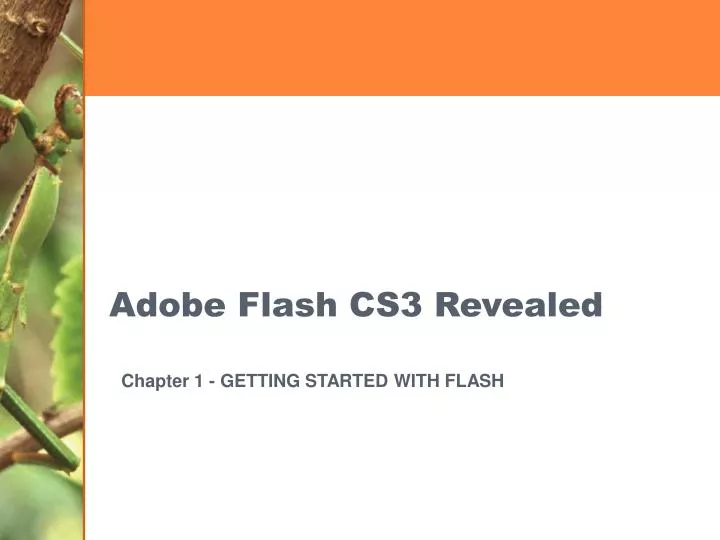 adobe flash cs3 revealed n.