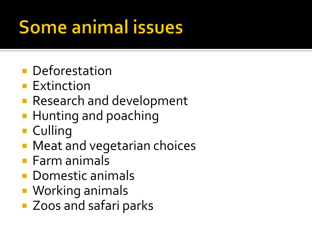 PPT World Animal Day Do all animals have souls? PowerPoint