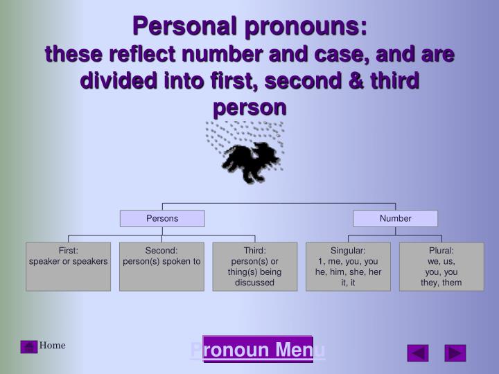 grammatical number and person grammatical number and person