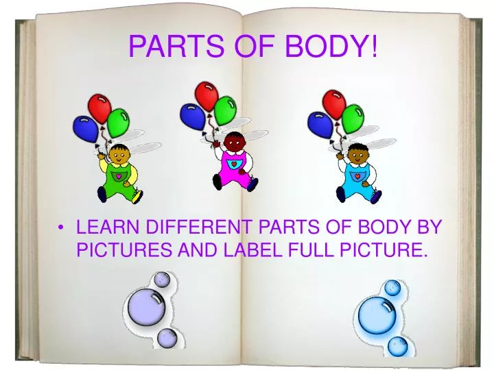 PPT - PARTS OF BODY! PowerPoint Presentation, free download - ID:6906962