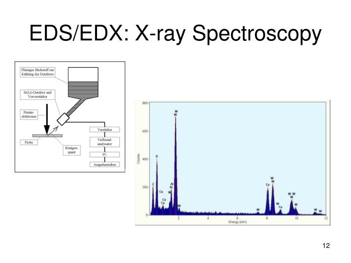 PPT - SEM & EDX PowerPoint Presentation - ID:6907211