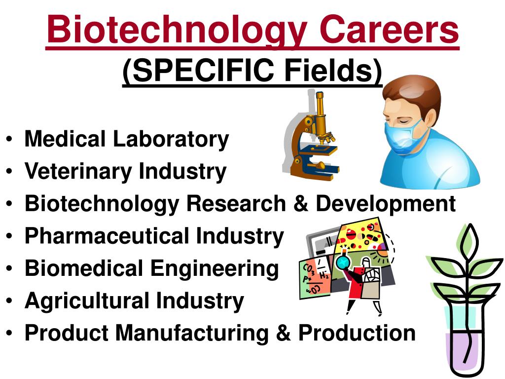 PPT BIOTECHNOLOGY CAREER OPPORTUNITIES PowerPoint Presentation, free