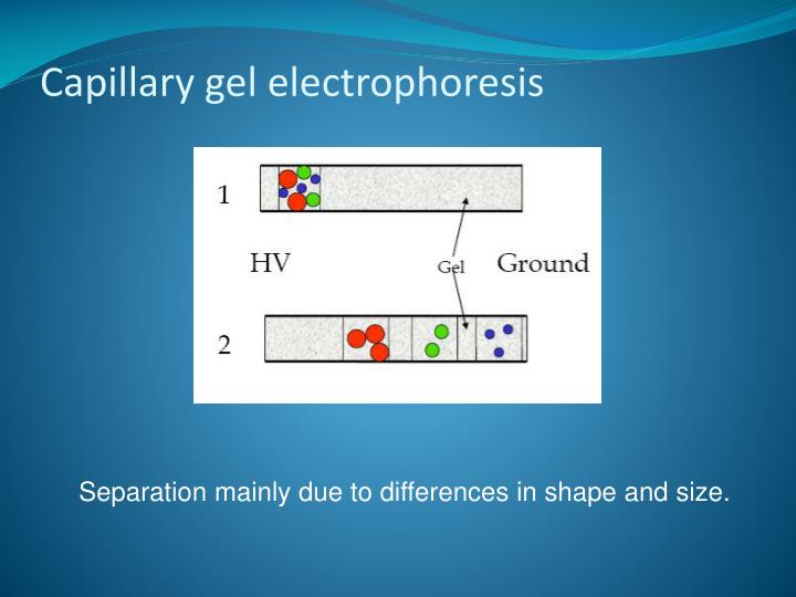 PPT Capillary Electrophoresis PowerPoint Presentation ID6909237