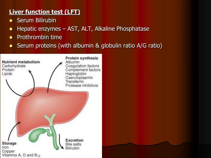 PPT Blood Studies Liver function test (LFT) Group of