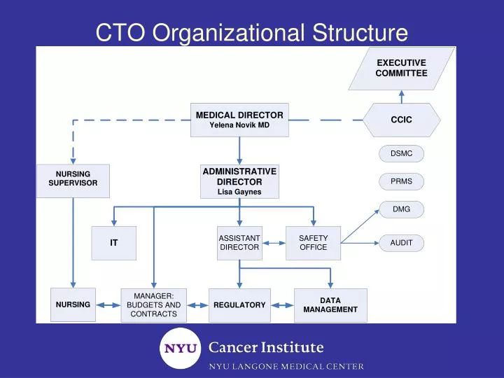 Cto Organization Chart
