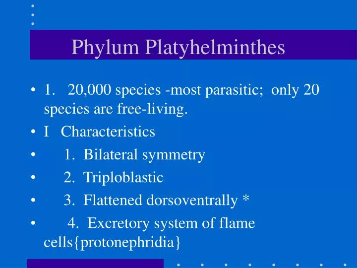 phylum platyhelminthes ppt