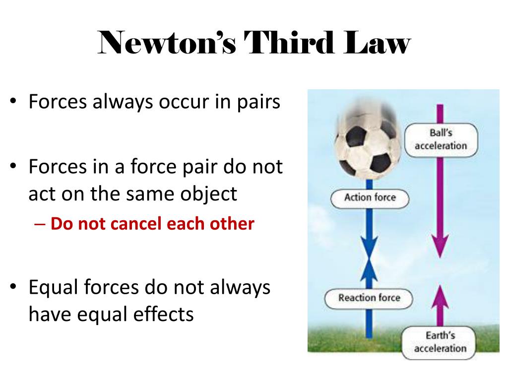 does action and reaction forces act on the same object