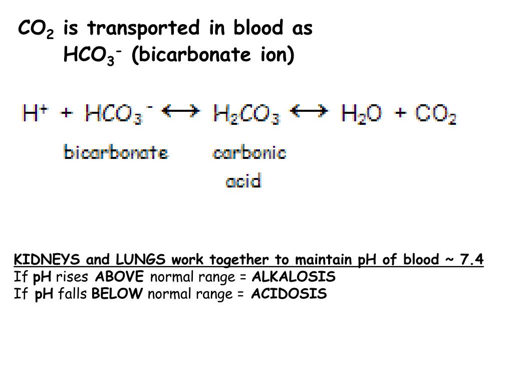 Ppt Buffers In Blood Acidosis And Alkalosis Powerpoint Presentation ...