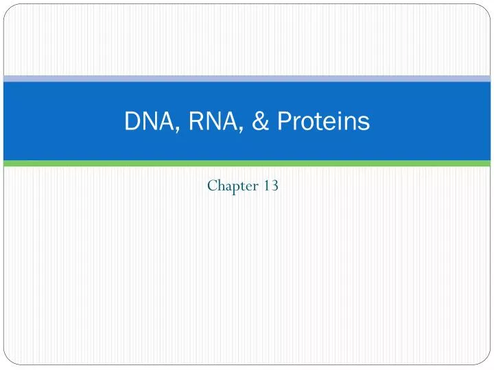 PPT - DNA, RNA, & Proteins PowerPoint Presentation, free download - ID ...