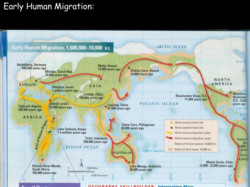 PPT - Human Origins During the Paleolithic and Neolithic Age PowerPoint ...