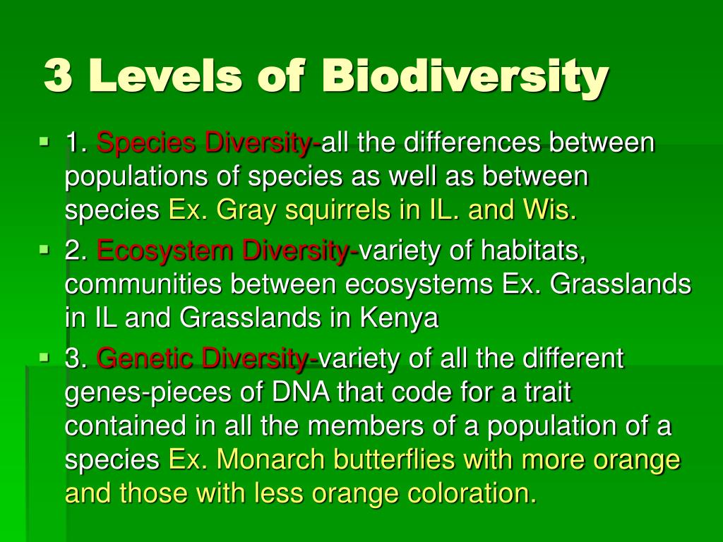 What Is Biodiversity Ppt What Is Biodiversity Ppt