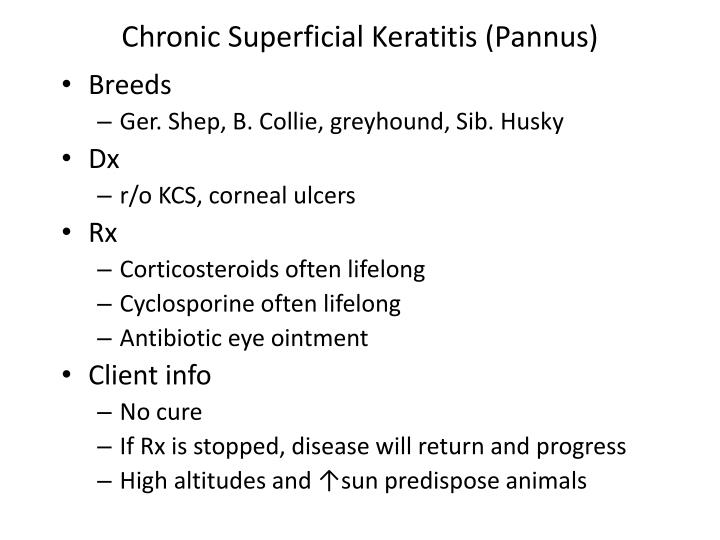 PPT - Chronic Superficial Keratitis (Pannus) PowerPoint 