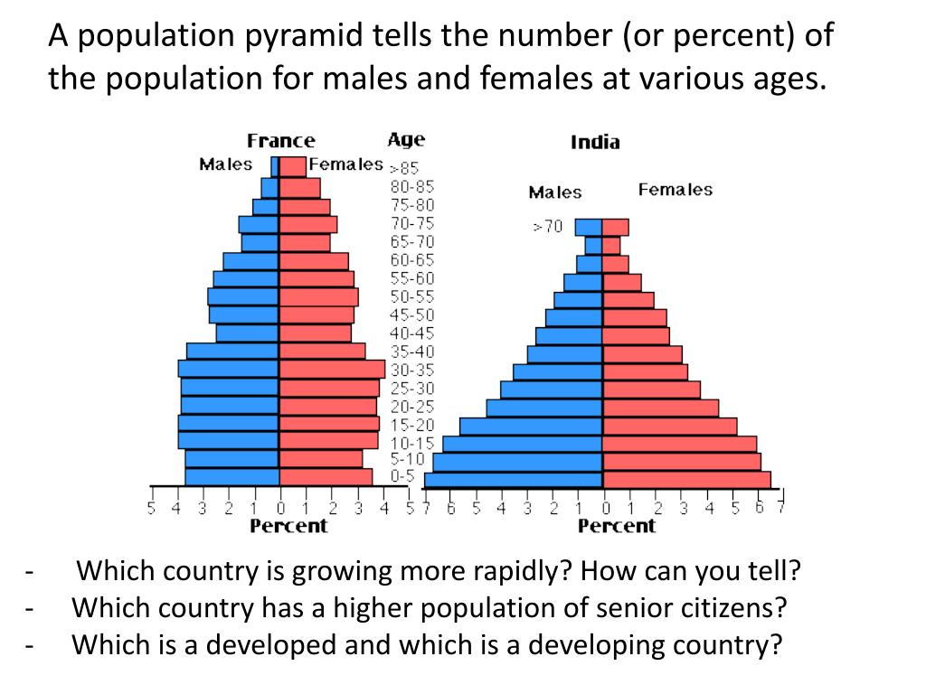 Population. Population Pyramid. Population Pyramid Philippines. Population Pyramid by Country. Age of Pyramids.