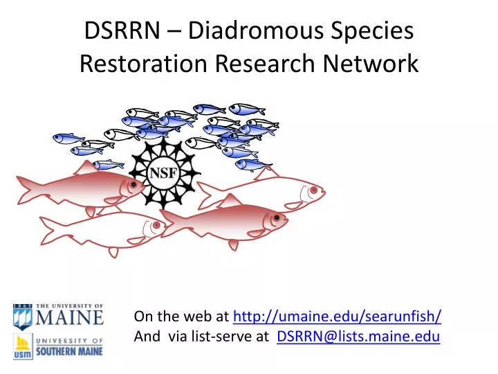 dsrrn diadromous species restoration research network n.