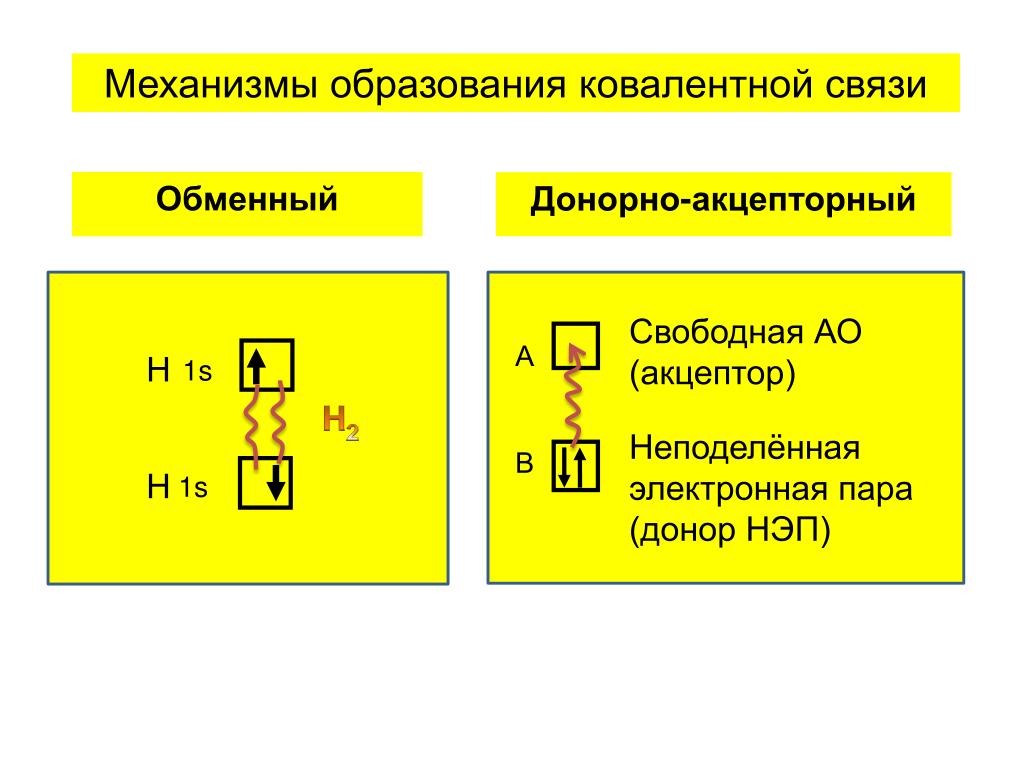 Донором электронов является. Неподеленная электронная пара. Обменный и донорно-акцепторный механизмы. Донорно-акцепторный механизм образования ковалентной связи. Ковалентная донорно-акцепторная связь.