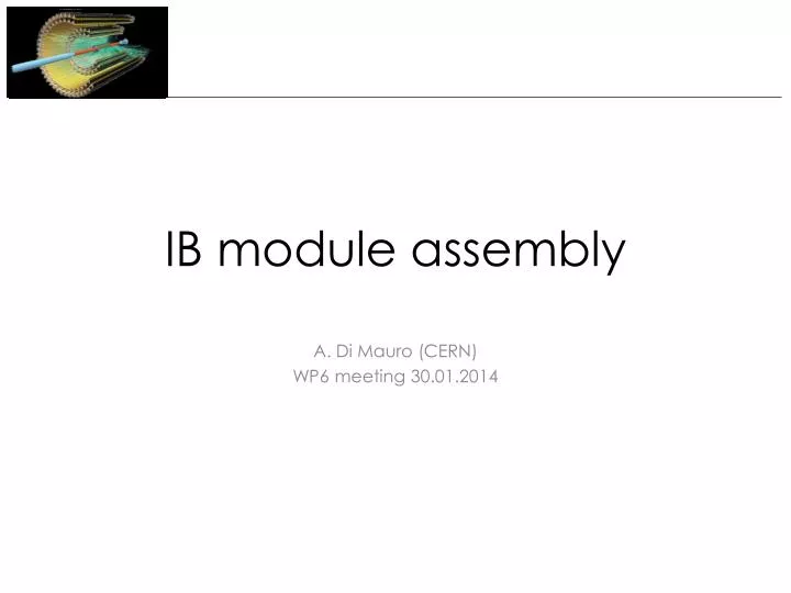 ib module assembly n.