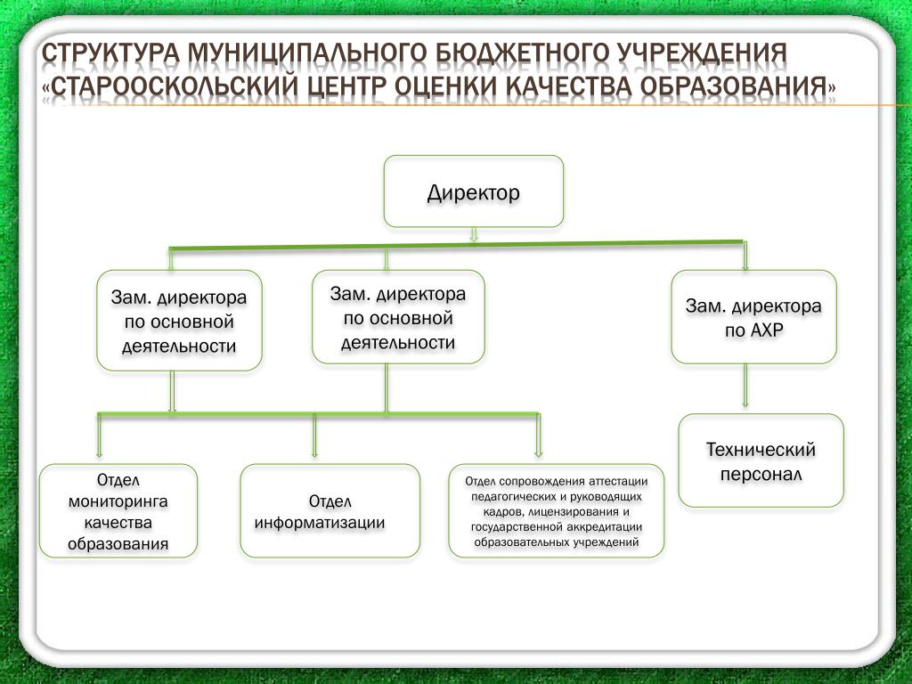Структура муниципального учреждения