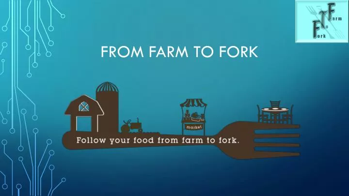 expert rating in farm to fork game expert rating in farm to fork game