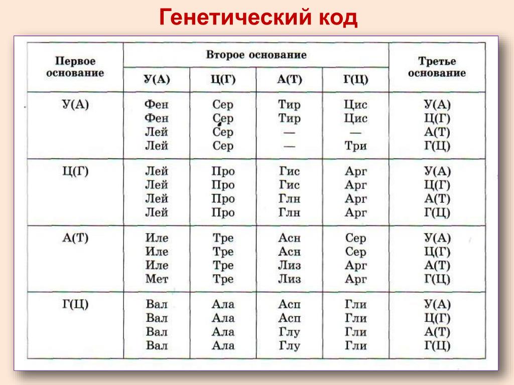 Определите последовательность фрагмента полипептида. Таблица генетического кода таблица. Таблица генетического кода ДНК. Таблица генетического кода биология 9 класс. Генетический код ИРНК таблица.