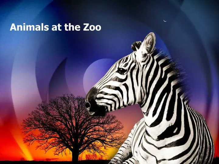 PPT - Animals at the Zoo PowerPoint Presentation, free download - ID:6938250