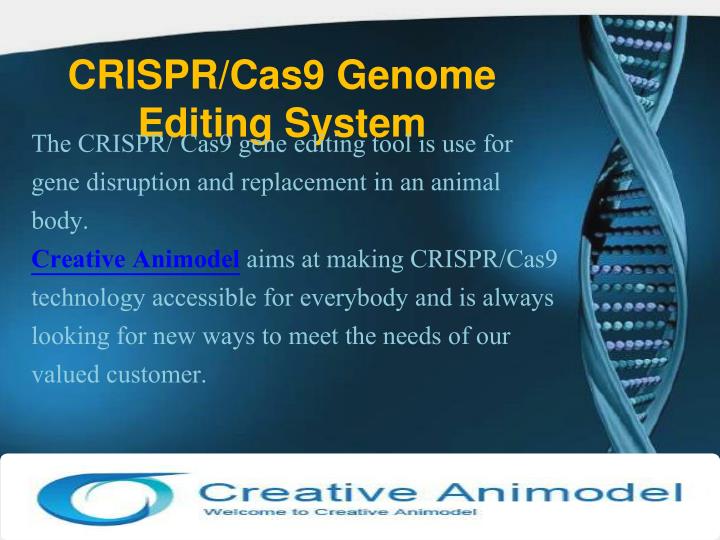 Ppt Crisprcas9 Gene Editing System Developed By Creative Animod Powerpoint Presentation Id 4130