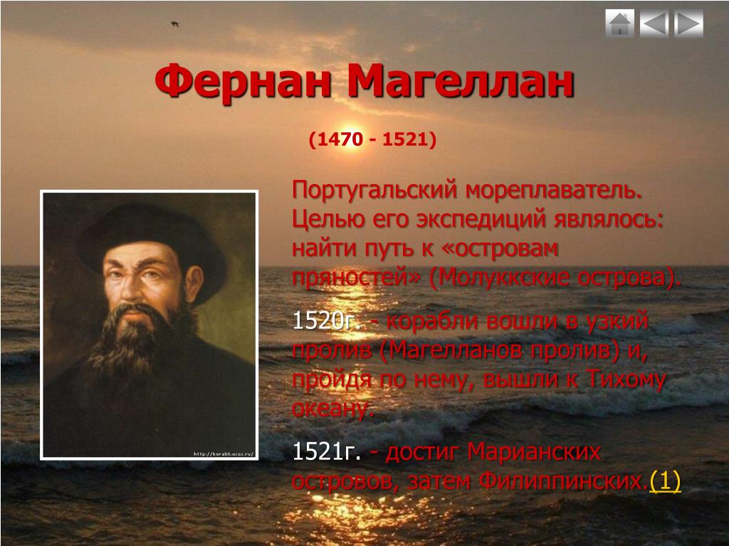 Океан открытый фернаном магелланом. Фернан Магеллан (1480-1521). Великий путешественник Фернан Магеллан. Фернан Магеллан мореплаватели Португалии. Фернан Магеллан 1470 1521.