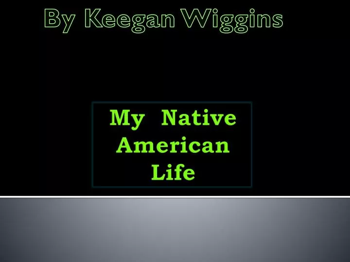 my native american life n.