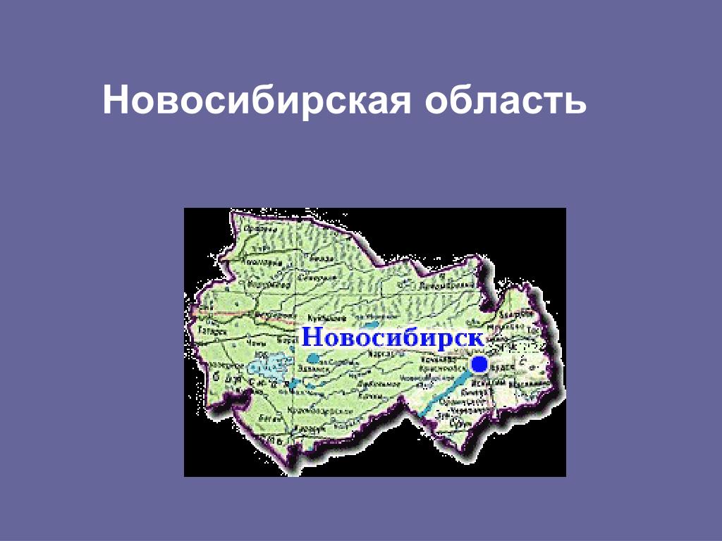 Область входит в 5. Презентация на тему Западно Сибирская провинция. Состав Новосибирской области входят 5 округов.