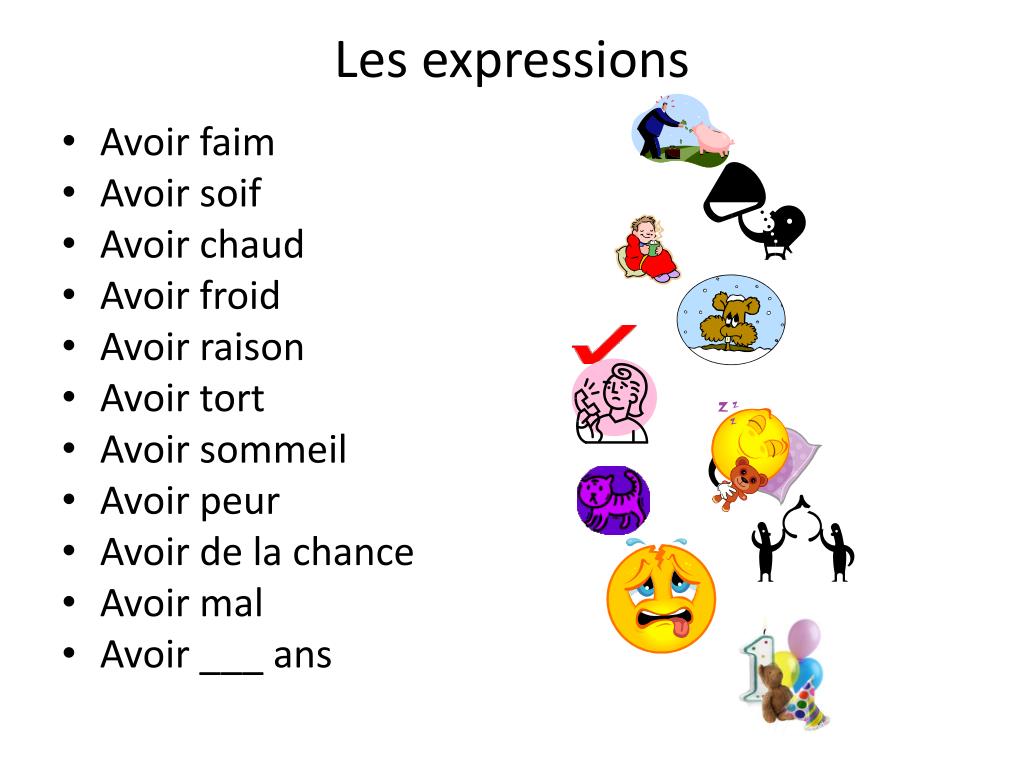 ppt-les-expressions-avec-avoir-powerpoint-presentation-free-download-id-6945356
