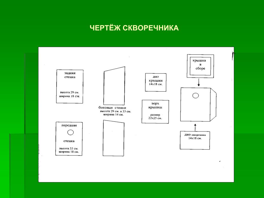 Чертеж скворечника с размерами 5 класс Картинки ЧЕРТЕЖ СКВОРЕЧНИКА ФОТО