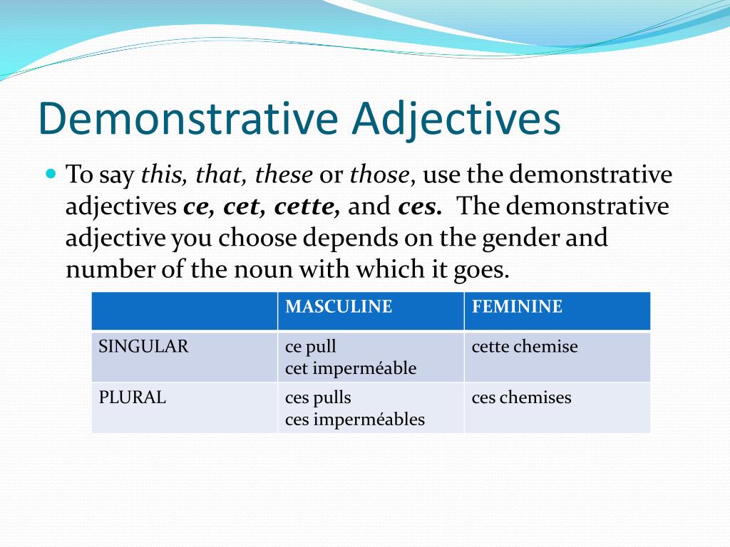 PPT  Demonstrative adjectives Interrogative adjectives PowerPoint