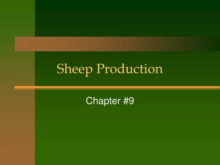 PPT Sheep Production PowerPoint Presentation Free Download ID 6949276