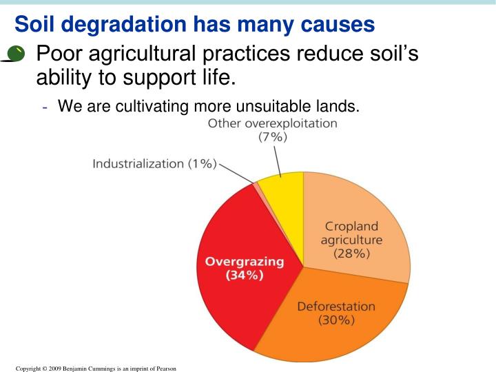 PPT - 008 Soil, Agriculture & the Future of Food PowerPoint ...