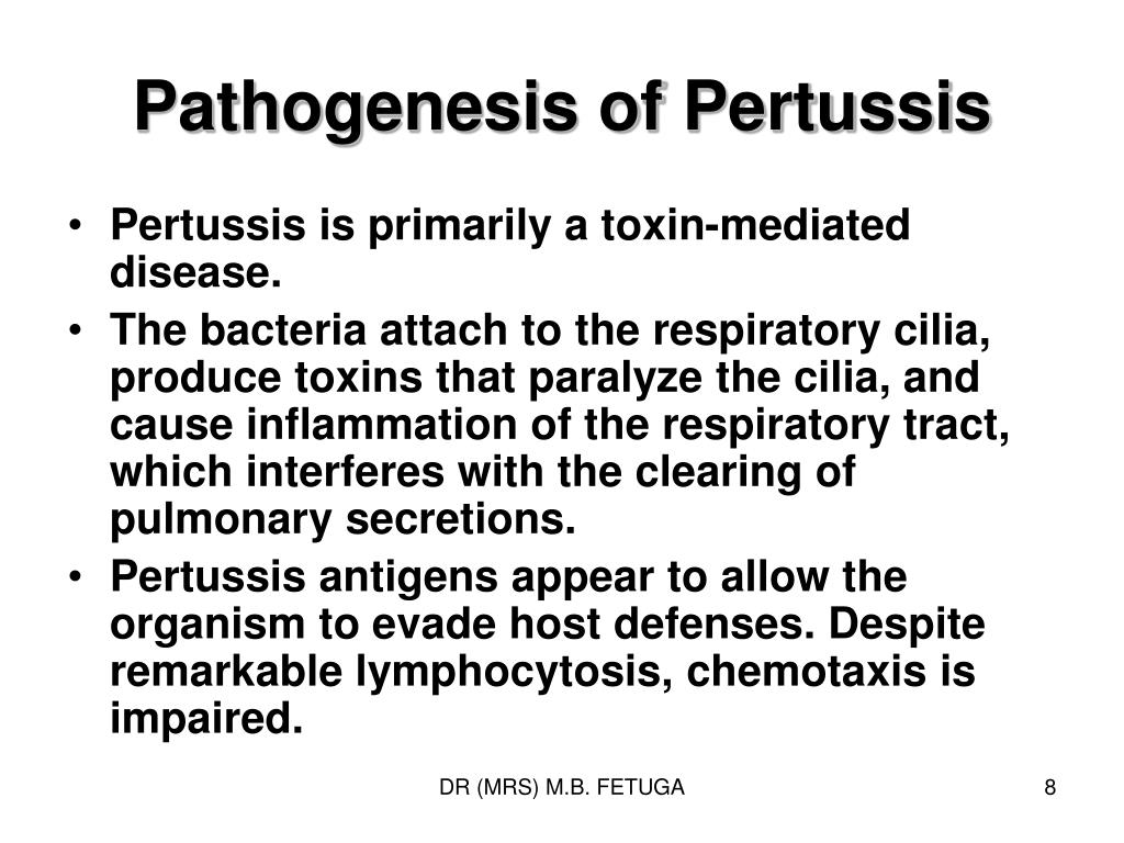 PPT  PERTUSSIS PowerPoint Presentation, free download  ID6950847