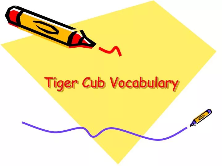 tiger cub vocabulary n.