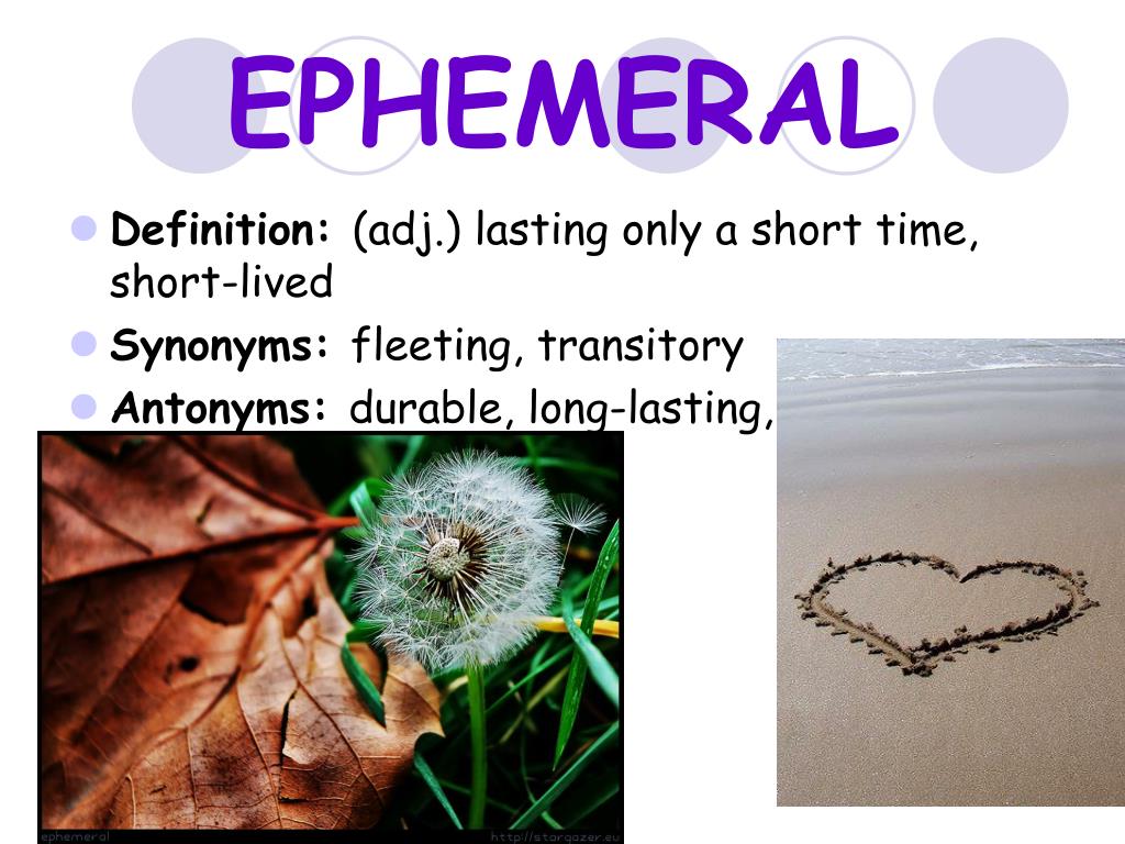 PPT - Vocabulary PowerPoint Presentation, free download - ID:6951421