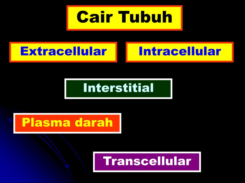 PPT - Physiology of Cell, Body Fluids, Excitable tissue & Muscle