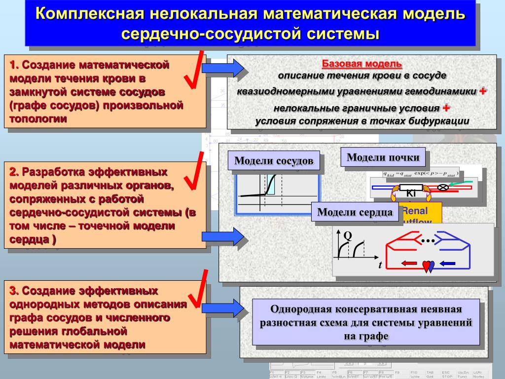 Комплексная математическая модель. Математическая модель сердечно-сосудистой системы. Физическая модель сердечно сосудистой системы. Математическое моделирование сердечно сосудистой системы. Замкнутая математическая модель кровообращения.