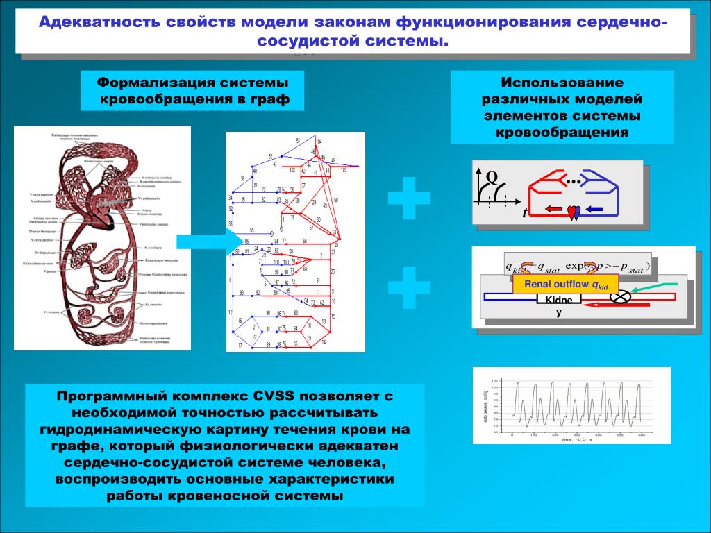3. Пищеварение в толстом кишечнике. Регуляция секреции в тонком и толстом кишечн