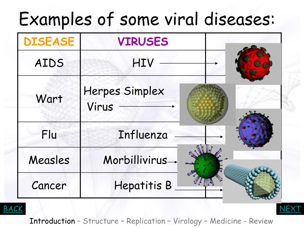 presentation about viruses