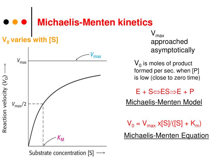PPT HOW ENZYMES WORK PowerPoint Presentation ID6954410