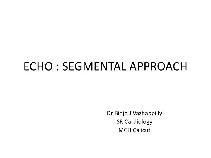 echo segmental approach n.