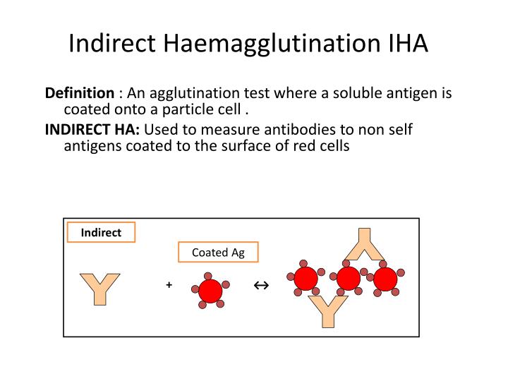 PPT Indirect Haemagglutination PowerPoint Presentation ID6956746