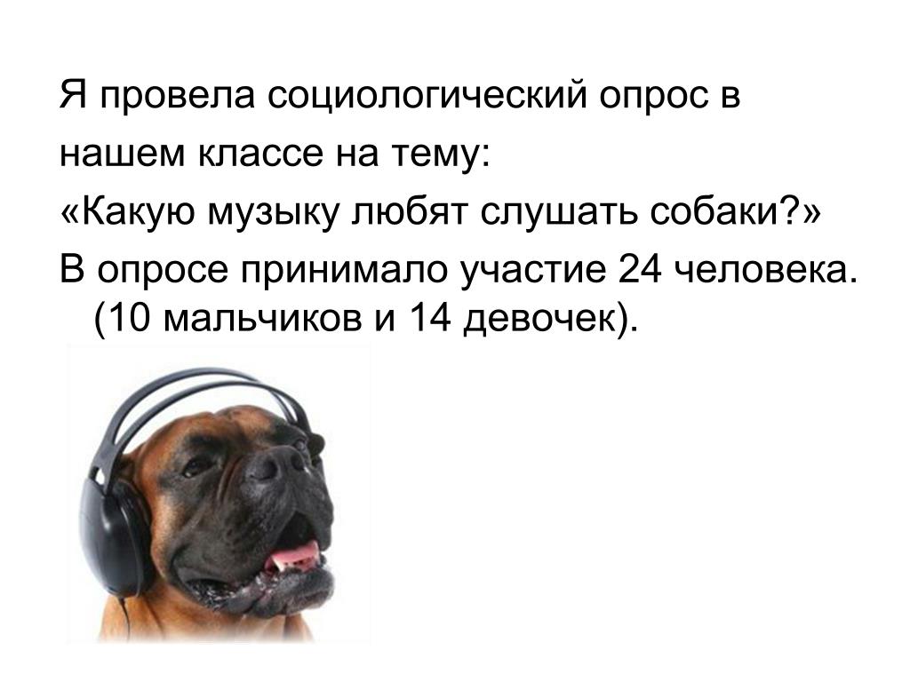 Насчет собак. Песик слушает музыку. Собака слушает музыку. Какую музыку любят собаки. Собака слушает человека.