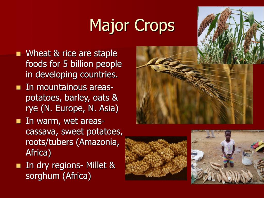What Is The Meaning Crops What Is The Meaning Crops